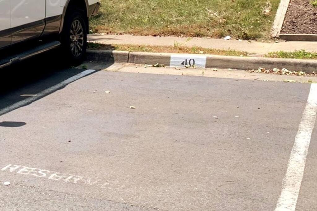 Modern Comfort Stays Alexandria Εξωτερικό φωτογραφία
