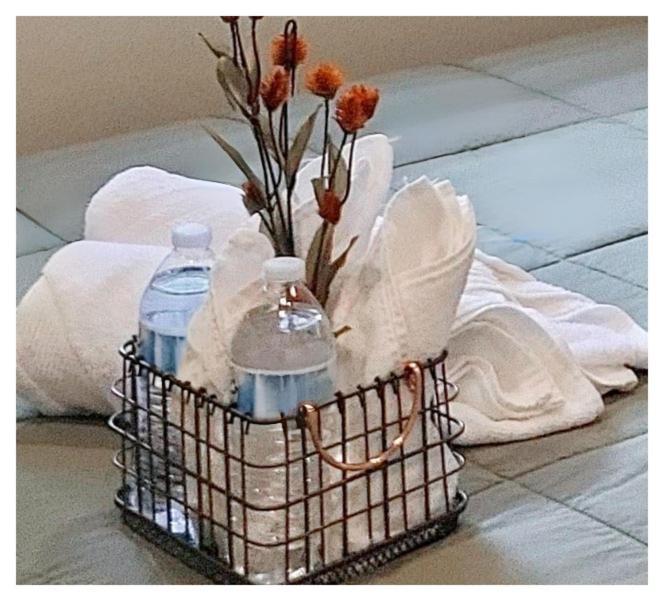 Modern Comfort Stays Alexandria Εξωτερικό φωτογραφία